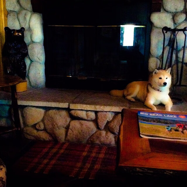 何曾如此 横扫之局，当联合杯的光芒，彻底吞没美网的余晖