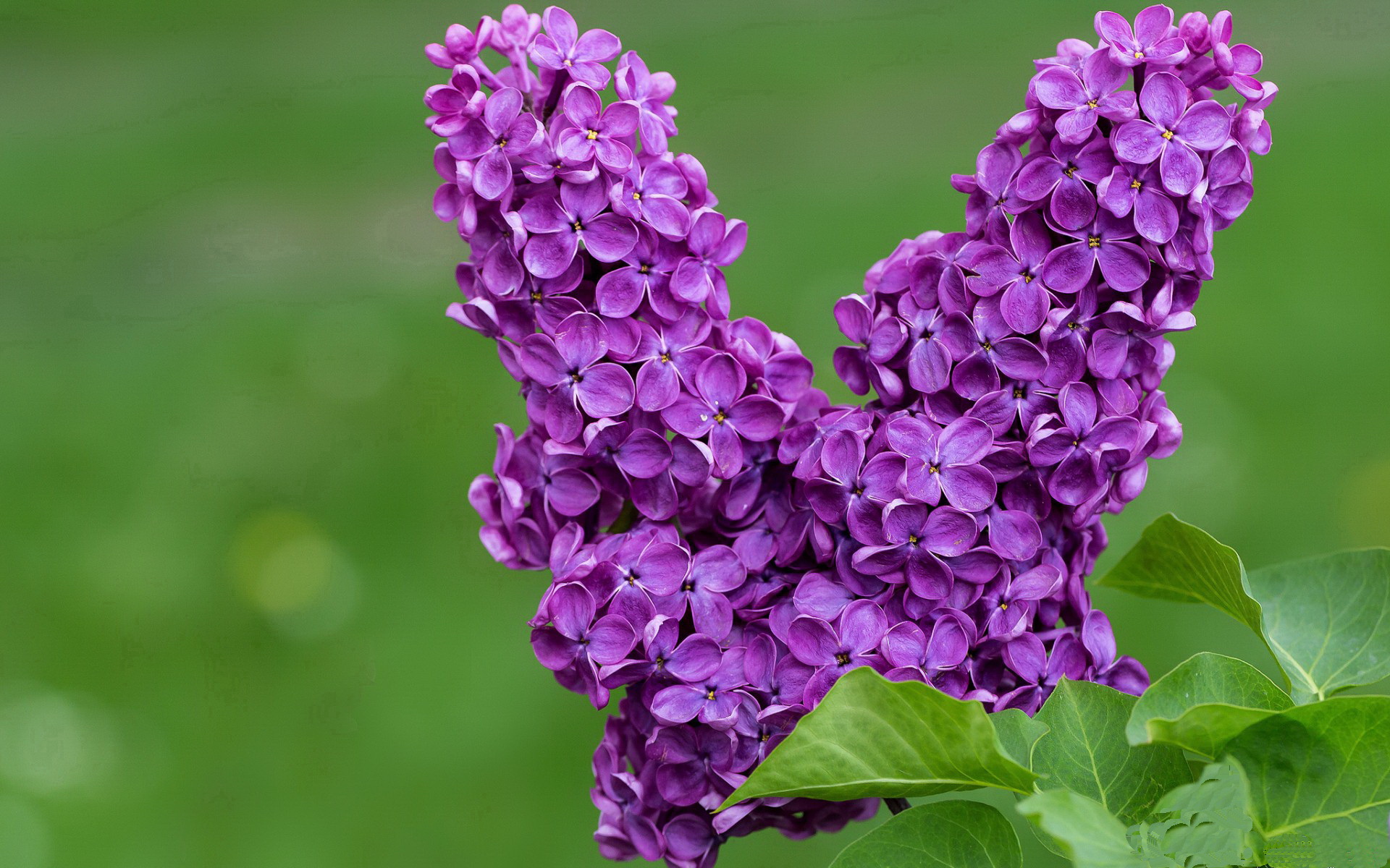 破晓神话，当第七大陆的狂涛，吞噬了旧航海家的星图