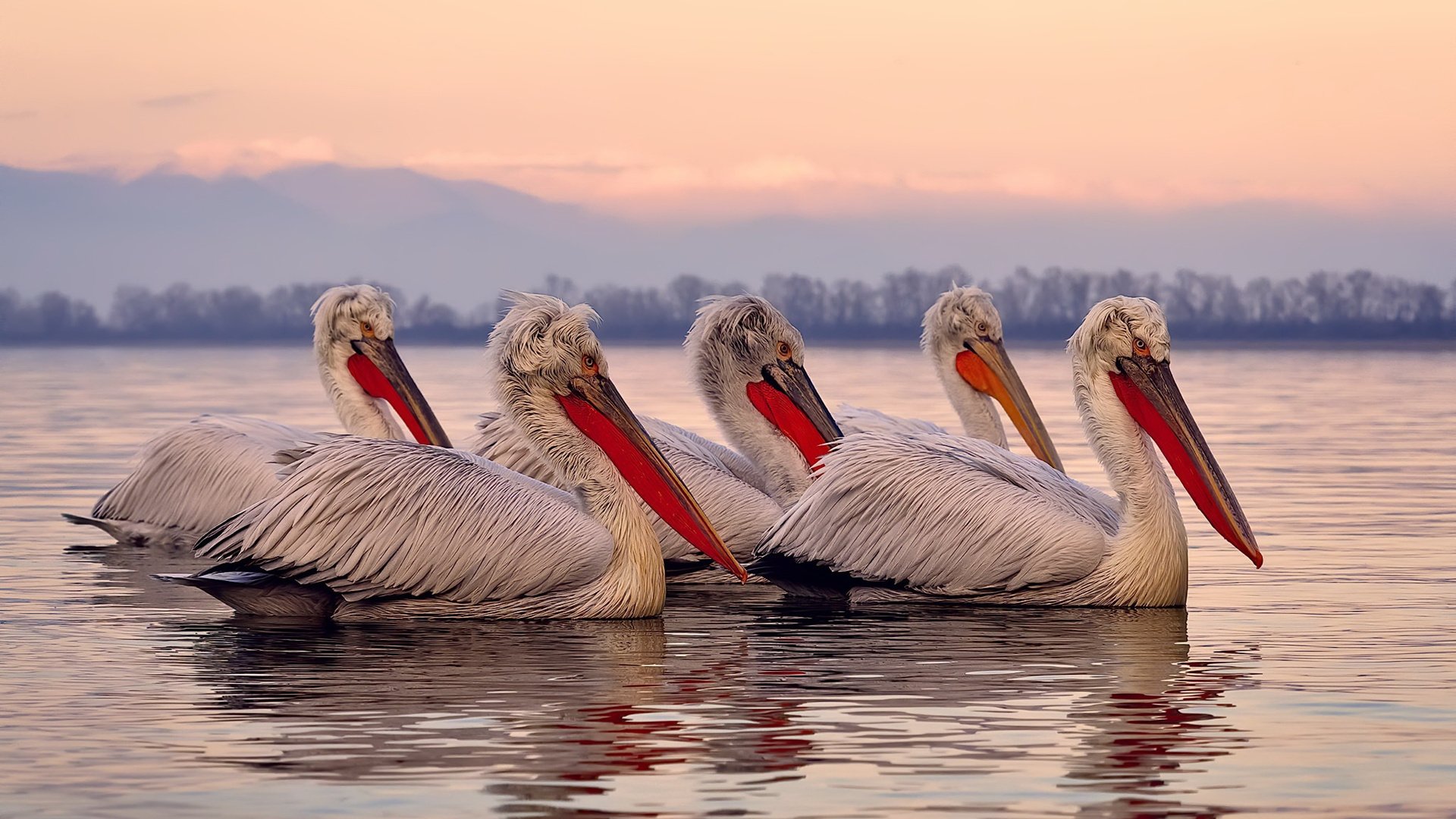 绝境铸就传奇，易建联末节18分上演王者归来