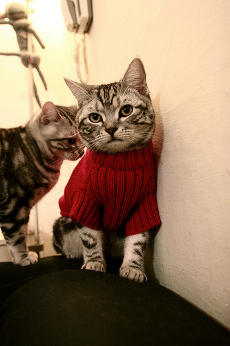 命运交叉口,阿坎吉爆发夜与葡萄牙的提前审判