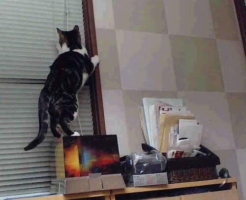 改写历史的一夜,2026世界杯焦点战,深圳新浪潮正面击溃广东王朝