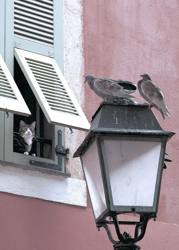 意甲焦点战,双重焦点,唯一胜负