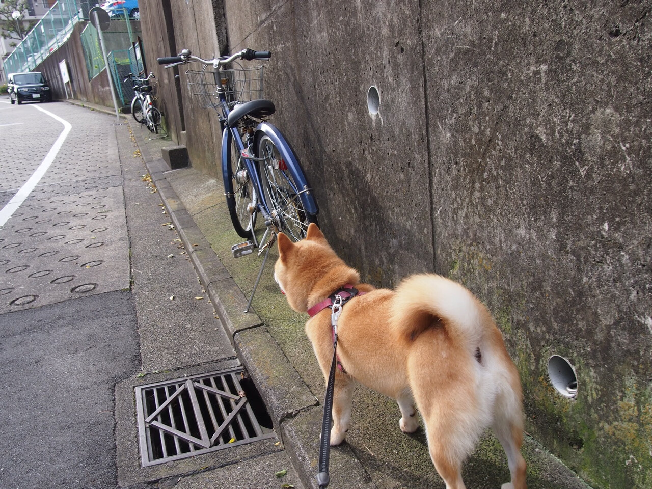 双线传奇，内马尔一剑定江山，克罗地亚铁军破拜仁—足球哲学的两种极致诠释