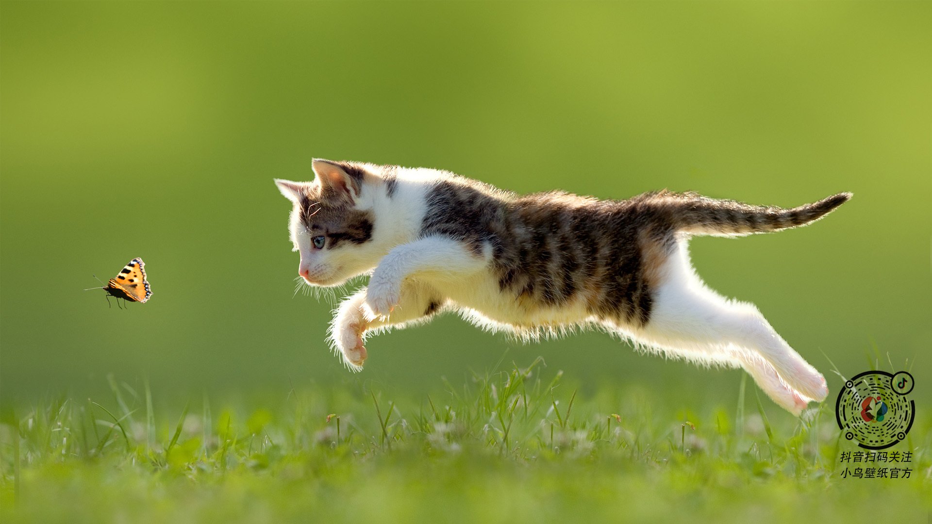 绿与蓝的对决，季后赛抢七战，钢铁之心如何压制辽河之魂？