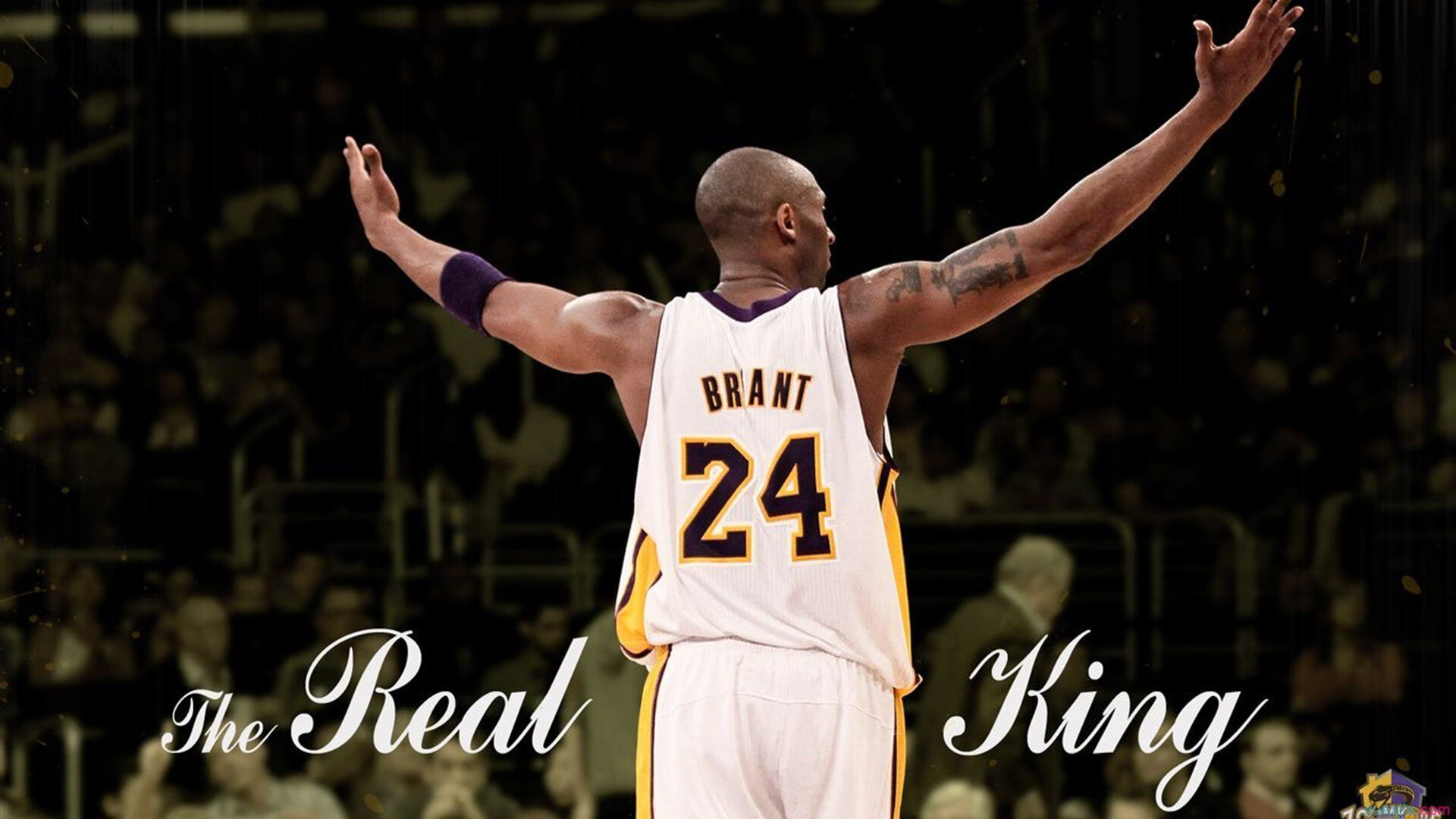 莱万爆发与威尔士单节狂飙，欧洲足坛的独特一夜