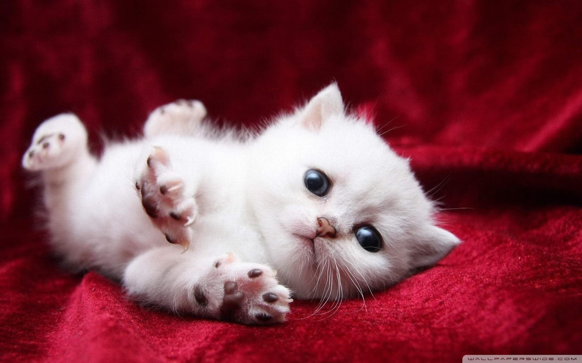 节奏之诗与野蛮之力，现代篮球的冰与火之歌