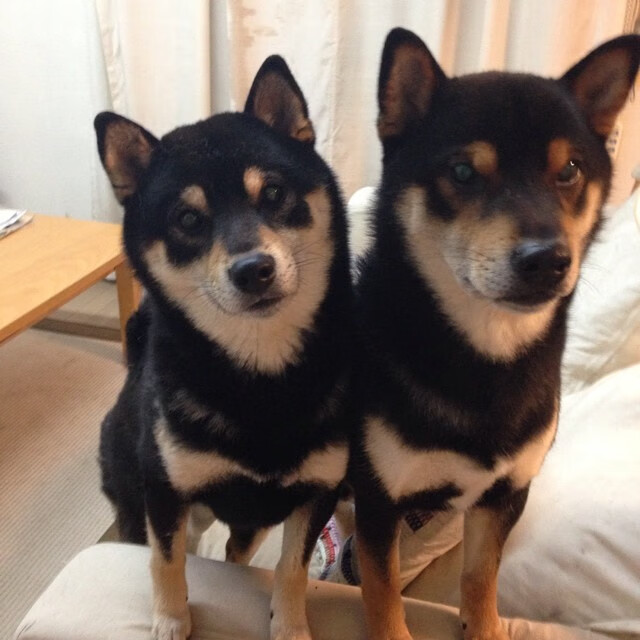 棋盘上的大师与复仇之焰，保罗掌控下的热火如何焚毁老鹰的天空