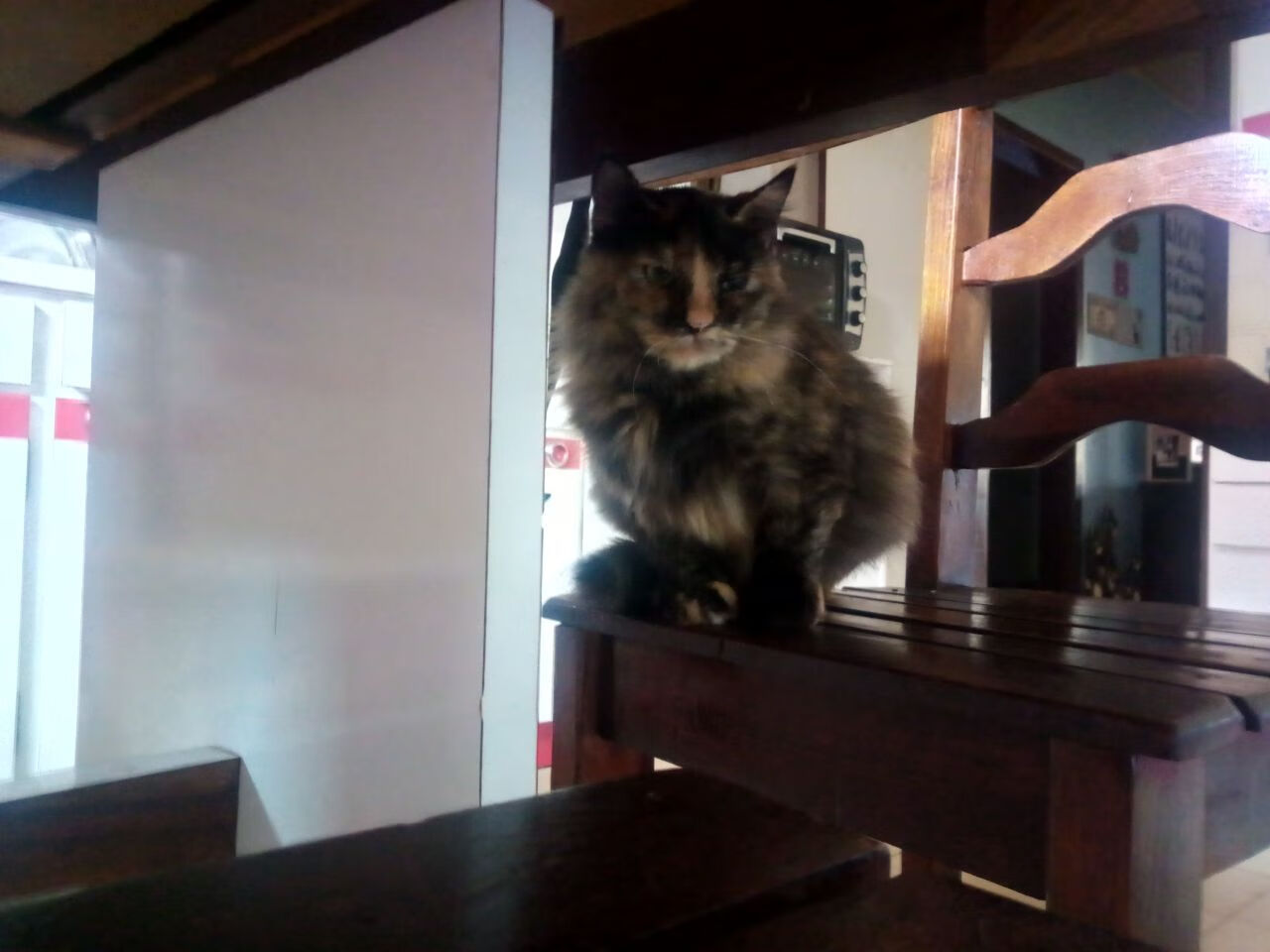 焦点战收官争议判罚定乾坤 独行侠客场上演带走戏码