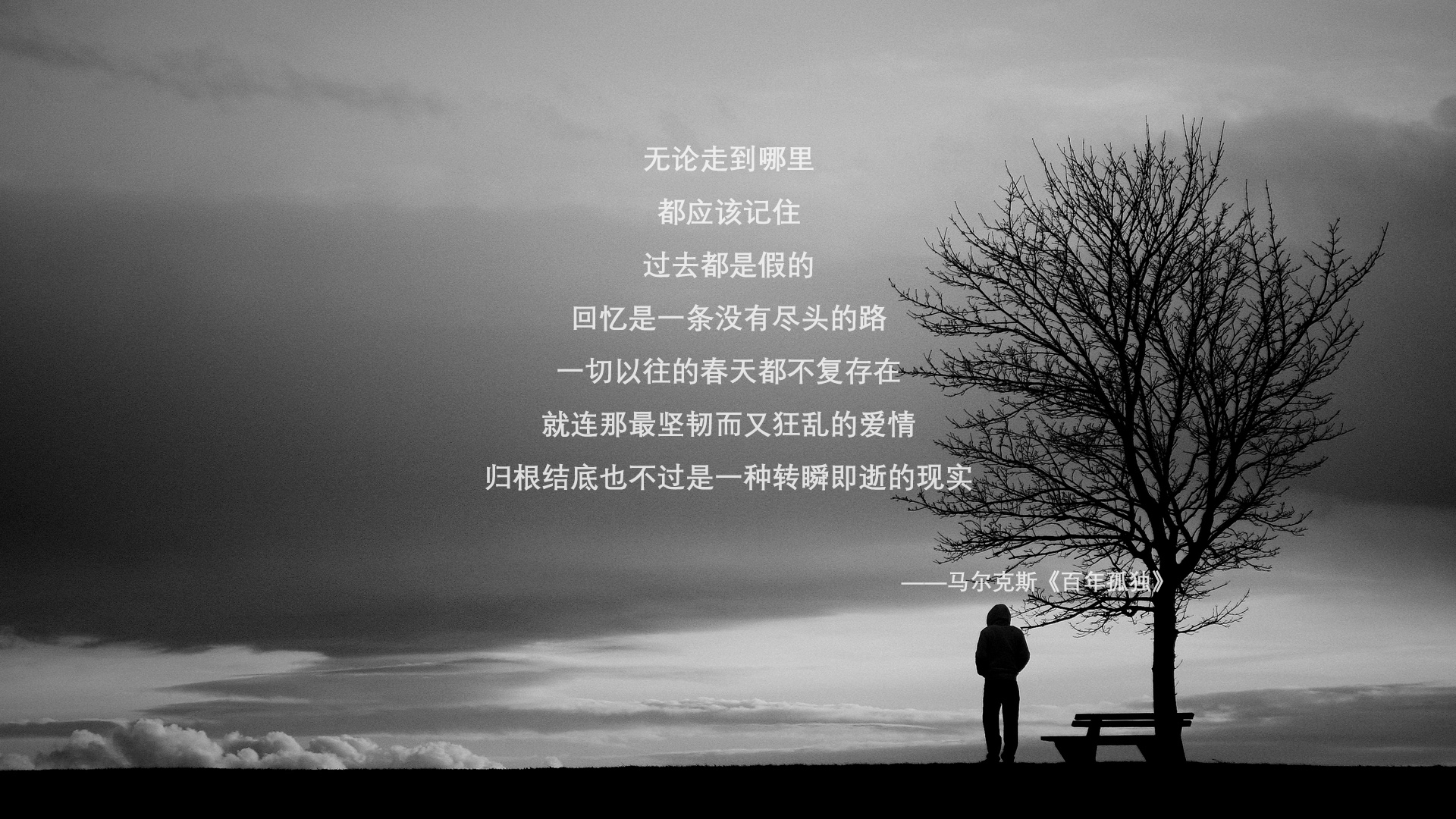 沙漠与白鹰的对决,2026世界杯B组生死战,莱万用一粒进球改写伊朗神话