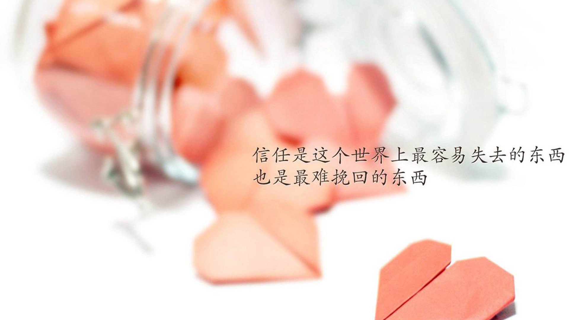 孤星闪耀里斯本,坎塞洛的救赎与加纳的逆袭,2026世界杯E组最残酷的美丽