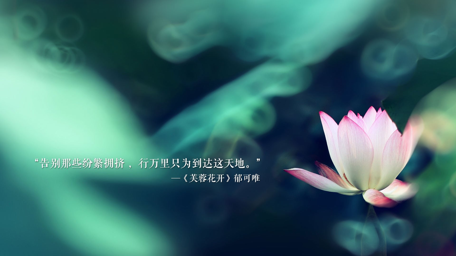 喀麦隆横扫印度，京多安一剑封喉—世界杯关键积分战的血色90分钟